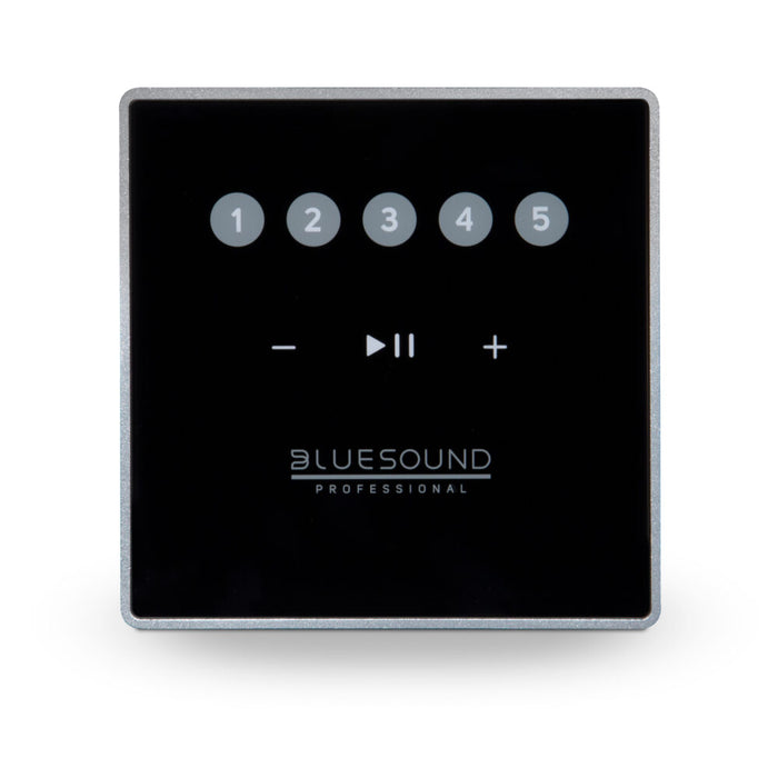 Bluesound Professional CP100 Controller